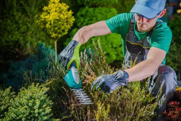 landscaping services Newton